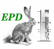 EPD
